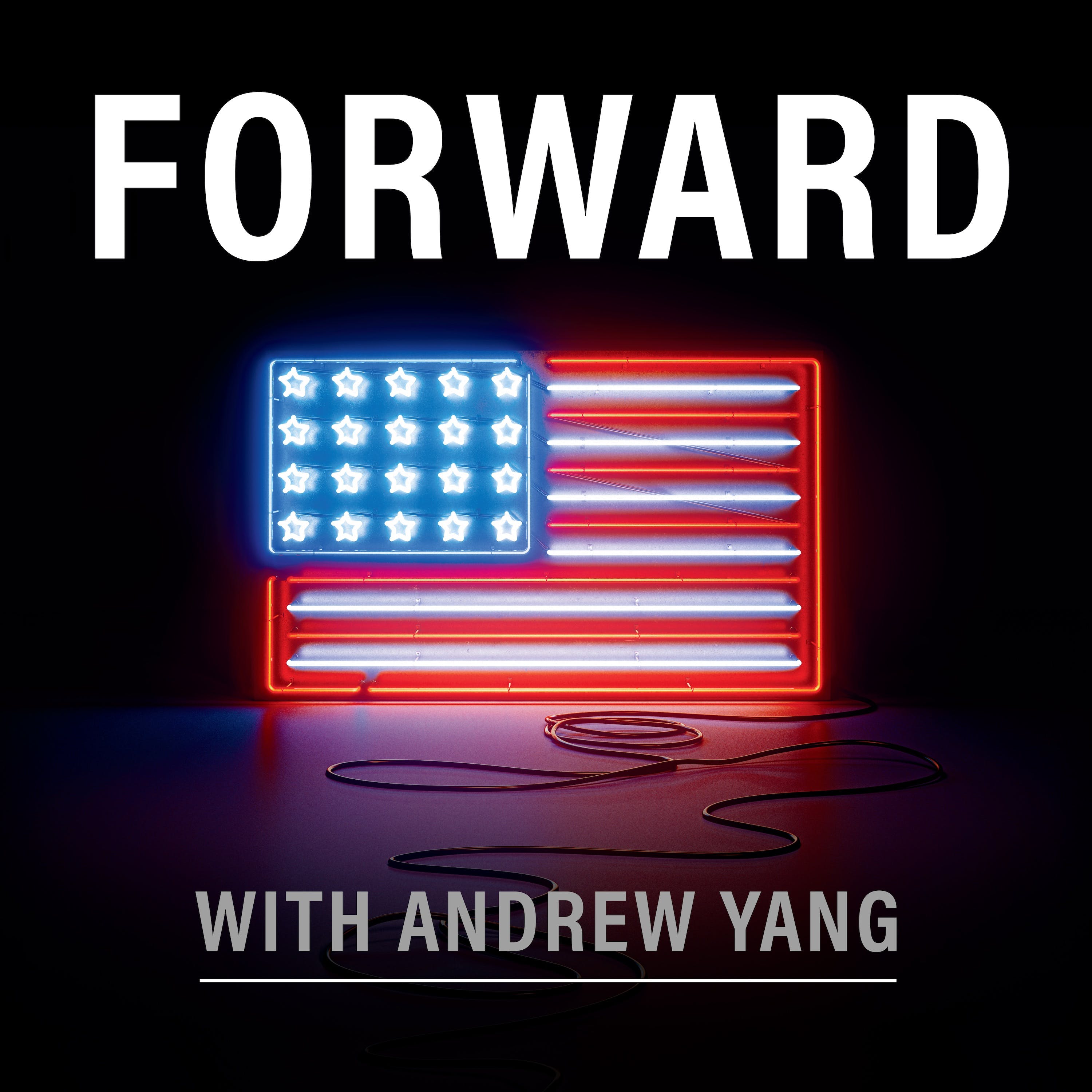 Andrew Yang Categorizes the Canadian Trucker Convoy as an 'Anti-Government' Protest